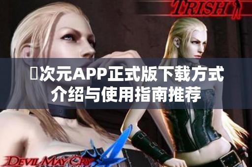 囧次元APP正式版下载方式介绍与使用指南推荐