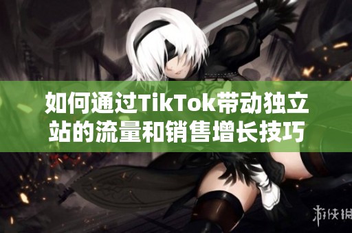 如何通过TikTok带动独立站的流量和销售增长技巧