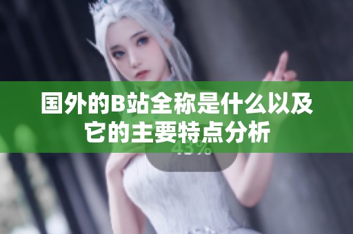 国外的B站全称是什么以及它的主要特点分析