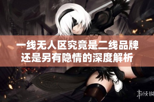 一线无人区究竟是二线品牌还是另有隐情的深度解析