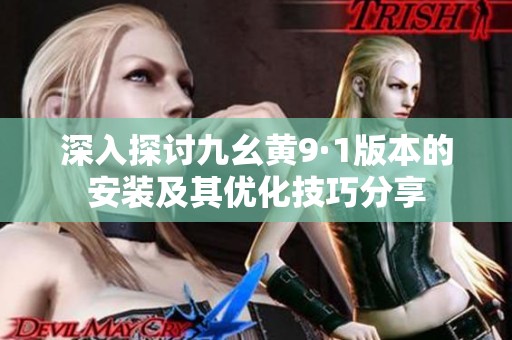 深入探讨九幺黄9·1版本的安装及其优化技巧分享