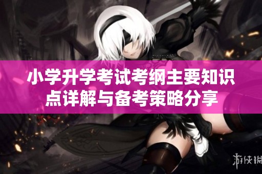 小学升学考试考纲主要知识点详解与备考策略分享