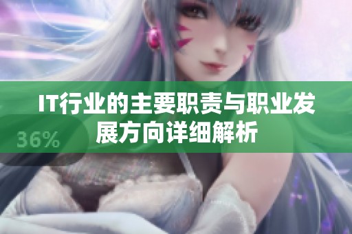 IT行业的主要职责与职业发展方向详细解析
