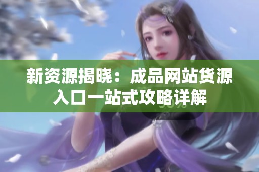 新资源揭晓：成品网站货源入口一站式攻略详解