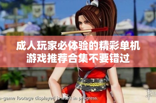 成人玩家必体验的精彩单机游戏推荐合集不要错过