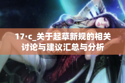 17·c_关于起草新规的相关讨论与建议汇总与分析