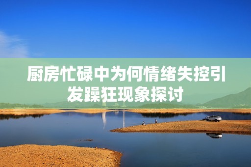 厨房忙碌中为何情绪失控引发躁狂现象探讨