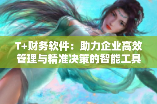 T+财务软件：助力企业高效管理与精准决策的智能工具