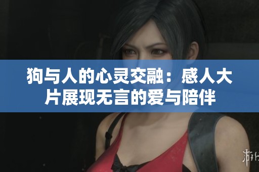 狗与人的心灵交融：感人大片展现无言的爱与陪伴