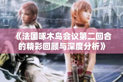 《法国啄木鸟会议第二回合的精彩回顾与深度分析》