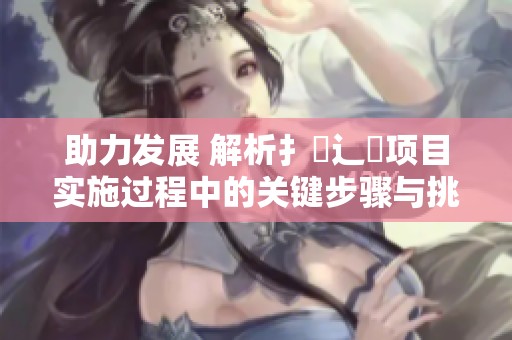助力发展 解析扌喿辶畐项目实施过程中的关键步骤与挑战
