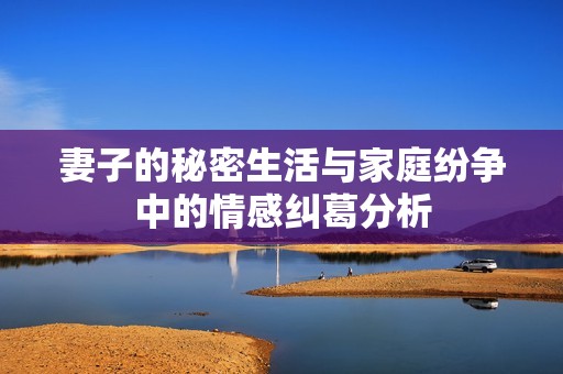 妻子的秘密生活与家庭纷争中的情感纠葛分析