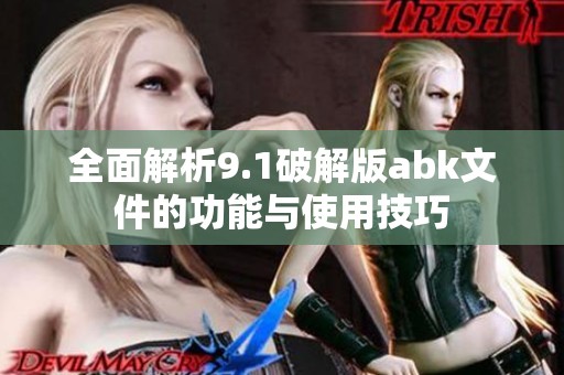 全面解析9.1破解版abk文件的功能与使用技巧