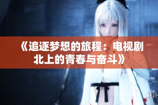《追逐梦想的旅程：电视剧北上的青春与奋斗》