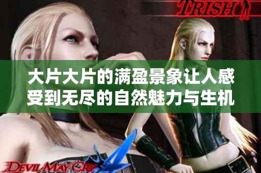 大片大片的满盈景象让人感受到无尽的自然魅力与生机