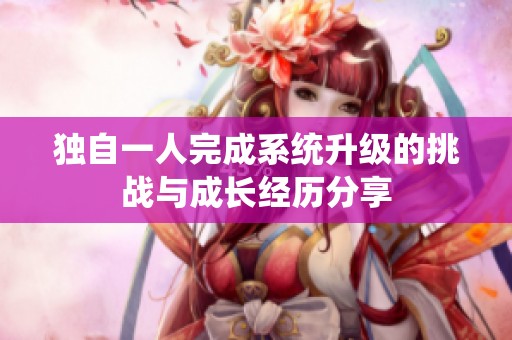 独自一人完成系统升级的挑战与成长经历分享