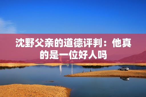 沈野父亲的道德评判：他真的是一位好人吗