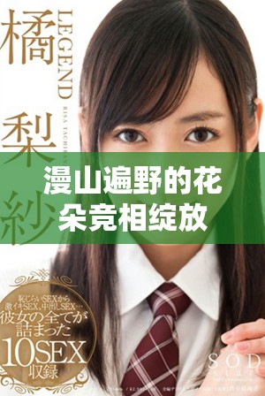 漫山遍野的花朵竞相绽放景色如画令人陶醉