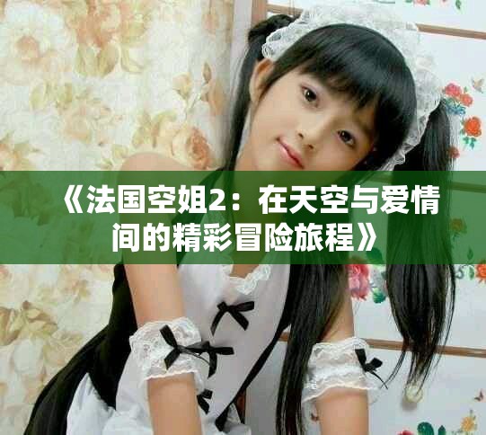 《法国空姐2：在天空与爱情间的精彩冒险旅程》