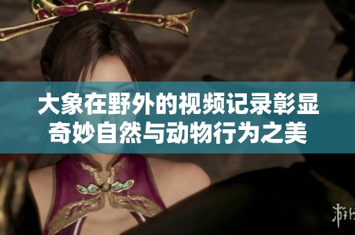 大象在野外的视频记录彰显奇妙自然与动物行为之美