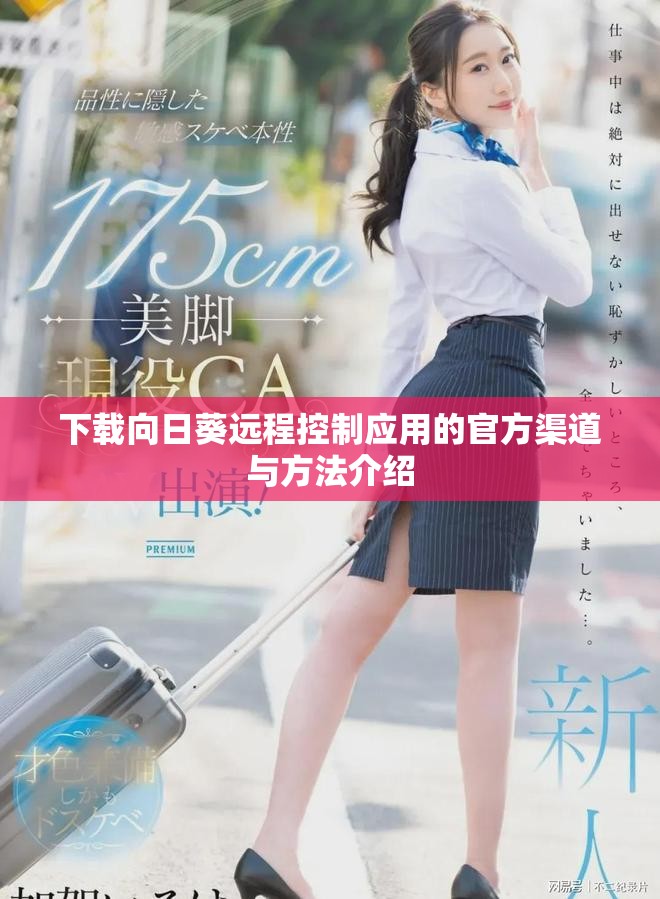 下载向日葵远程控制应用的官方渠道与方法介绍