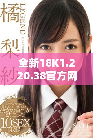 全新18K1.220.38官方网站下载安装指南与步骤详解