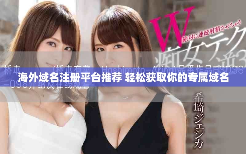 海外域名注册平台推荐 轻松获取你的专属域名