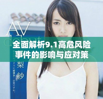 全面解析9.1高危风险事件的影响与应对策略