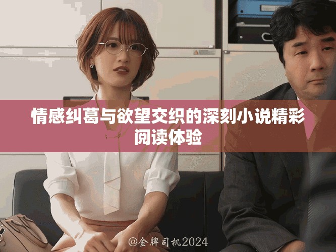 情感纠葛与欲望交织的深刻小说精彩阅读体验