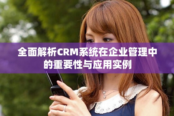 全面解析CRM系统在企业管理中的重要性与应用实例