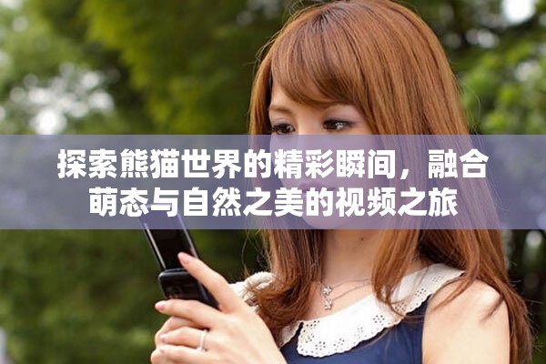 探索熊猫世界的精彩瞬间，融合萌态与自然之美的视频之旅