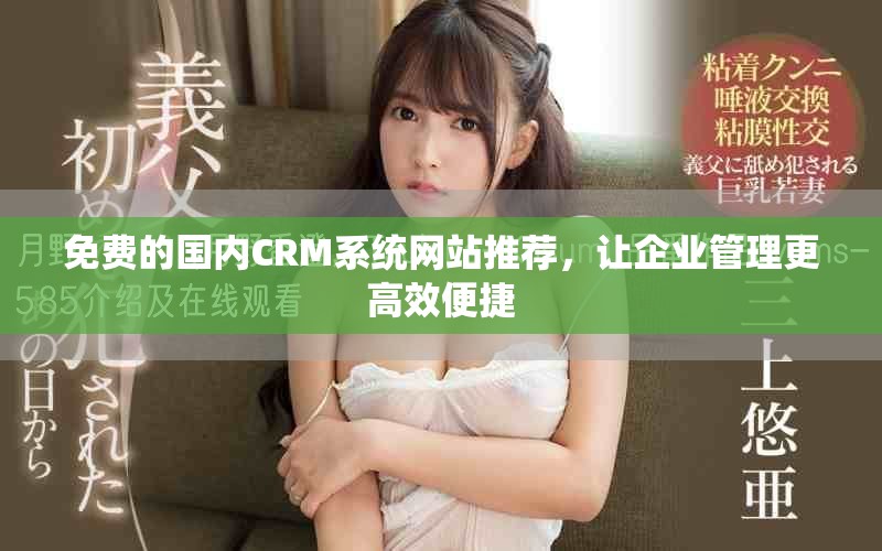 免费的国内CRM系统网站推荐，让企业管理更高效便捷