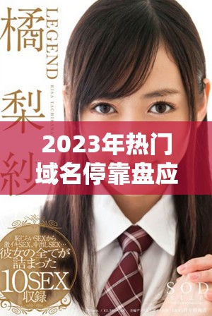2023年热门域名停靠盘应用程序下载大全推荐