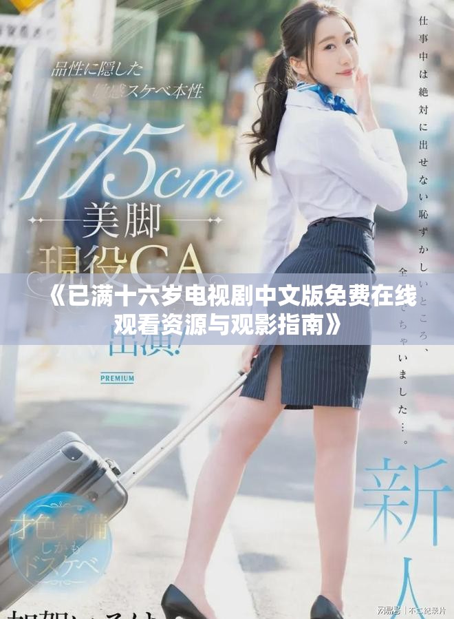 《已满十六岁电视剧中文版免费在线观看资源与观影指南》