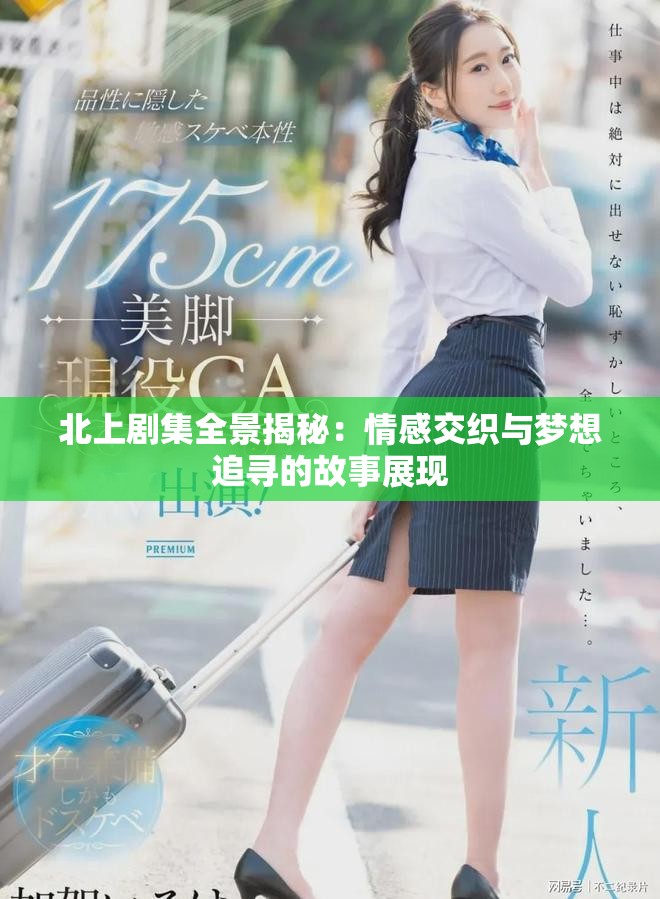 北上剧集全景揭秘：情感交织与梦想追寻的故事展现