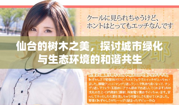 仙台的树木之美，探讨城市绿化与生态环境的和谐共生