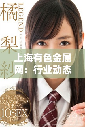 上海有色金属网：行业动态与市场分析一手掌握