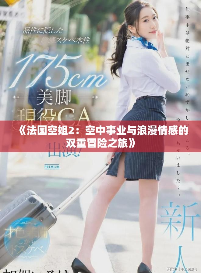 《法国空姐2：空中事业与浪漫情感的双重冒险之旅》