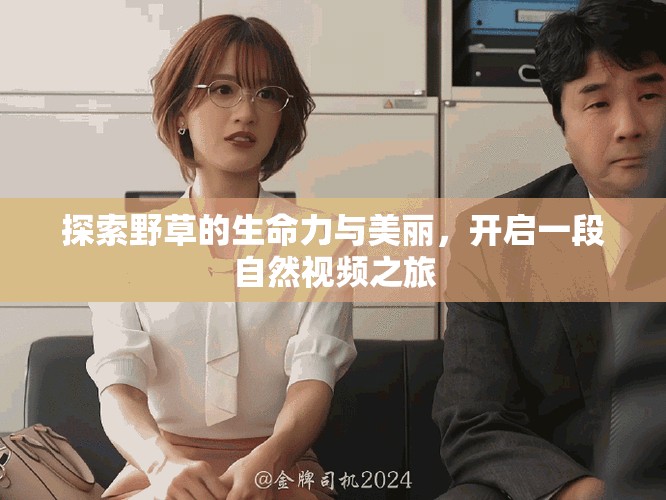 探索野草的生命力与美丽，开启一段自然视频之旅