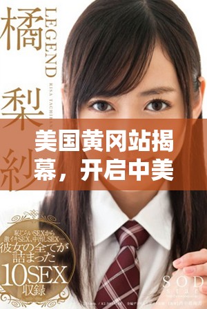 美国黄冈站揭幕，开启中美文化交流新篇章