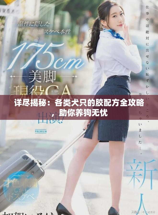详尽揭秘：各类犬只的胶配方全攻略，助你养狗无忧