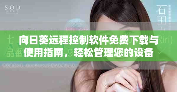 向日葵远程控制软件免费下载与使用指南，轻松管理您的设备