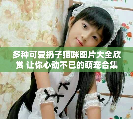 多种可爱扔子猫咪图片大全欣赏 让你心动不已的萌宠合集