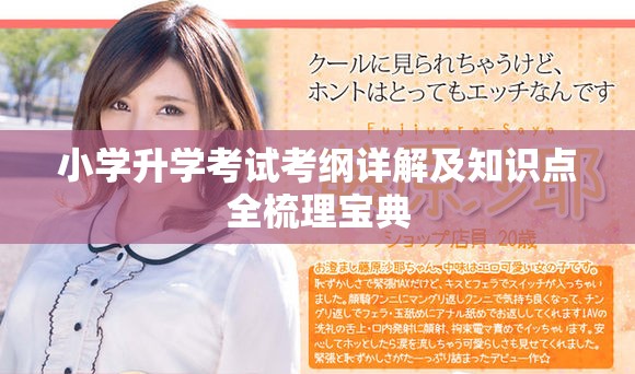 小学升学考试考纲详解及知识点全梳理宝典