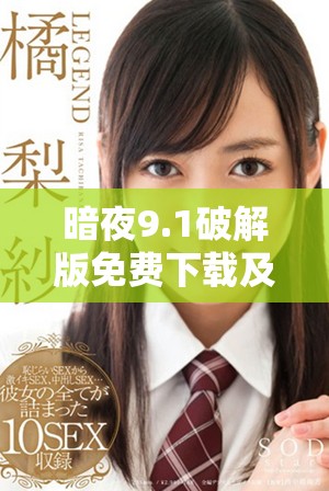 暗夜9.1破解版免费下载及安装指南，轻松畅享全新体验
