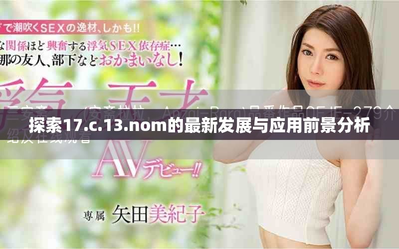 探索17.c.13.nom的最新发展与应用前景分析