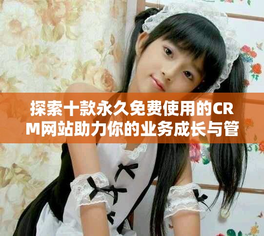 探索十款永久免费使用的CRM网站助力你的业务成长与管理