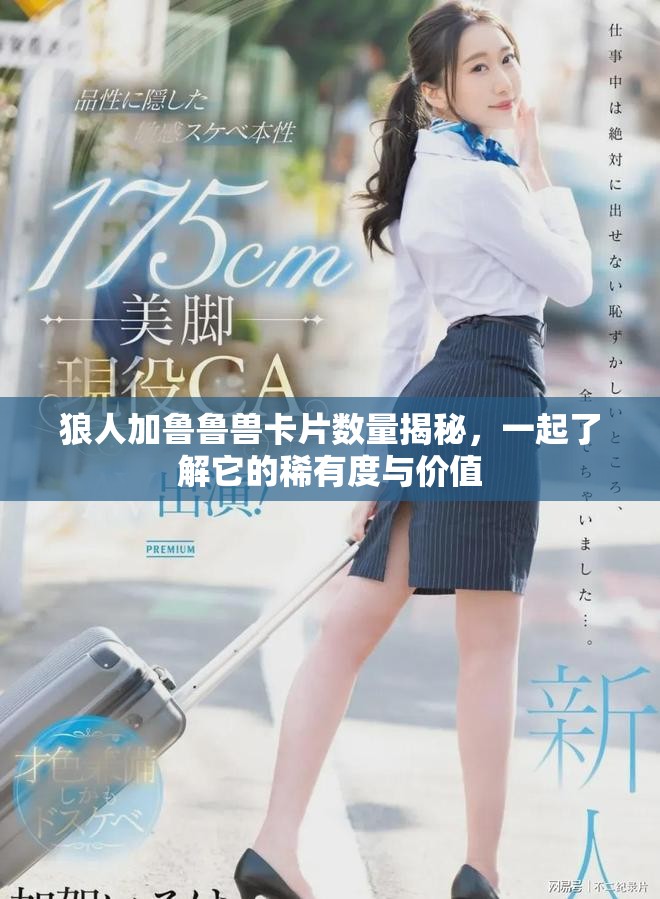 狼人加鲁鲁兽卡片数量揭秘，一起了解它的稀有度与价值