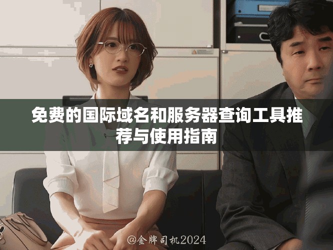 免费的国际域名和服务器查询工具推荐与使用指南