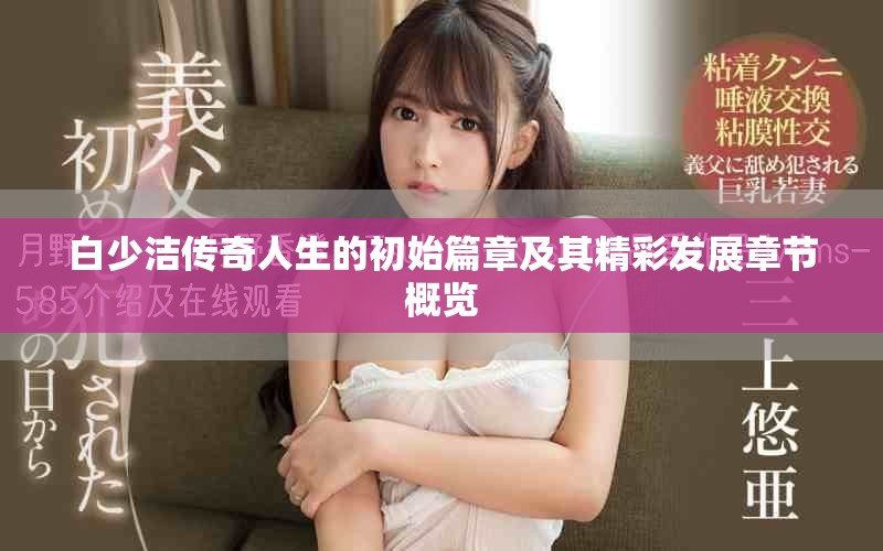 白少洁传奇人生的初始篇章及其精彩发展章节概览